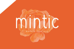 Bring Your Handmade Creations to Life with Mintic Font