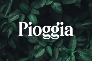 Discover Pioggia: A Playful Display Font for Modern Publishing