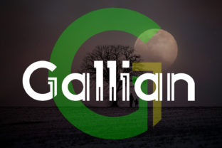 Enhance Your Web Design with the Gallian Display Font