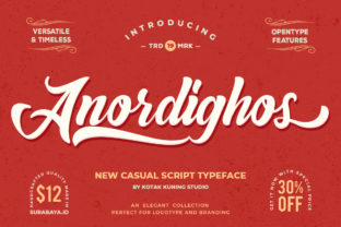 Transform Your Brand with Anordighos: A Playful Display Font